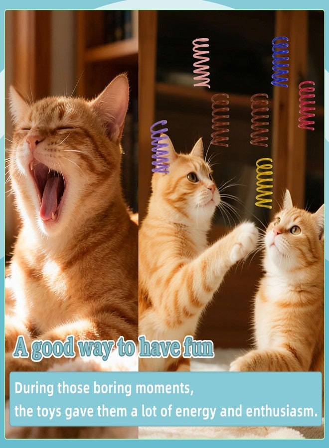 Andiker 40pcs Cat Spring Toys, Colorful Plastic Cat Spiral Toy to Release Energy and Keep Fit Bounce with a Storage Box Interactive Cat Toy for Swatting, Biting, Hunting Kitten Toys - Image 4